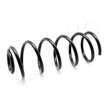 Ressort de suspension ASHIKA ZCA5069C