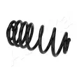 Ressort de suspension ASHIKA ZCA5155A - Visuel 1