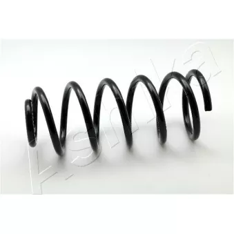 Ressort de suspension ASHIKA ZCA5216G