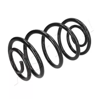 Ressort de suspension ASHIKA ZCA5272J
