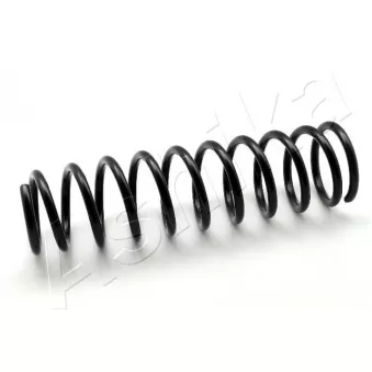 Ressort de suspension ASHIKA ZCA5380G