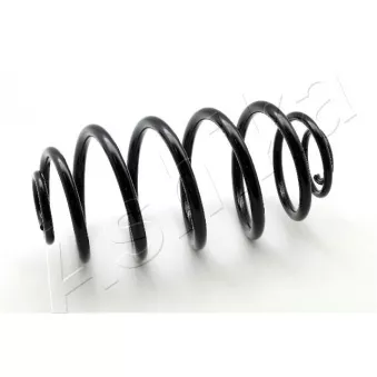 Ressort de suspension ASHIKA ZCA5419J