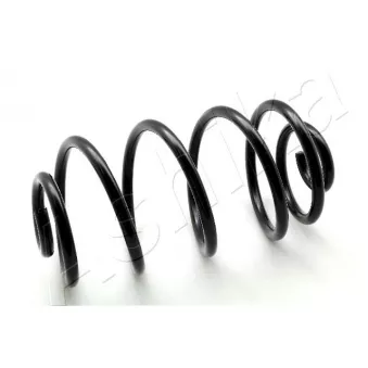 Ressort de suspension ASHIKA ZCA5419X