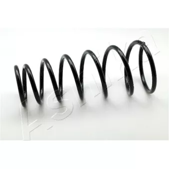 Ressort de suspension ASHIKA ZCA5469I