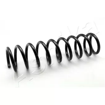 Ressort de suspension ASHIKA ZCA5566A