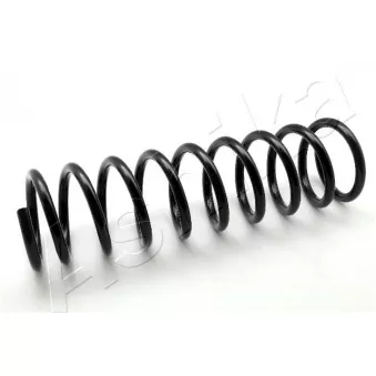 Ressort de suspension ASHIKA ZCA5569A