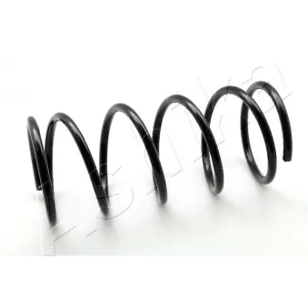 Ressort de suspension ASHIKA ZCA5579A