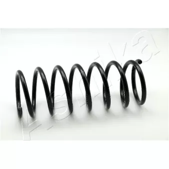 Ressort de suspension ASHIKA ZCA5587A