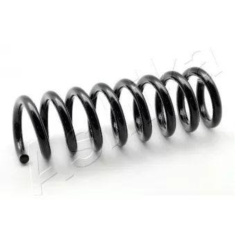 Ressort de suspension ASHIKA ZCA5673A