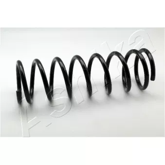 Ressort de suspension ASHIKA ZCA5717A