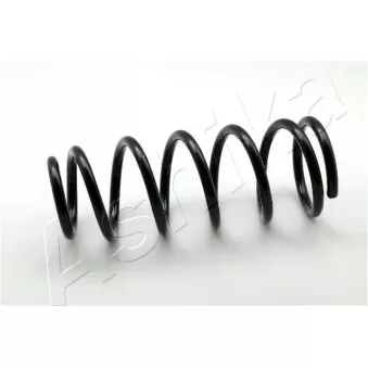Ressort de suspension ASHIKA ZCA5870C