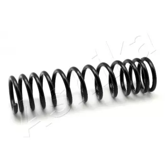 Ressort de suspension ASHIKA ZCA6008E