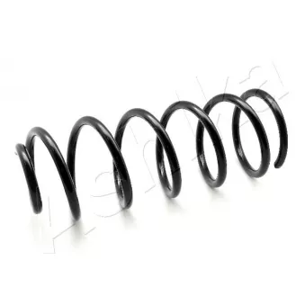Ressort de suspension ASHIKA ZCA6046F