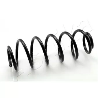 Ressort de suspension ASHIKA ZCA6068H