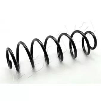 Ressort de suspension ASHIKA ZCA6072H