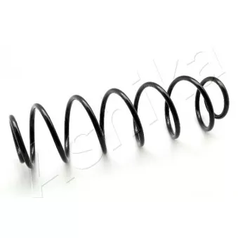 Ressort de suspension ASHIKA ZCA6081H
