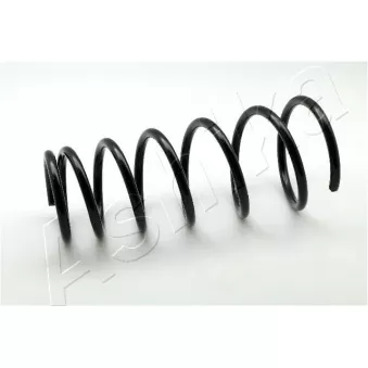 Ressort de suspension ASHIKA ZCA6109I
