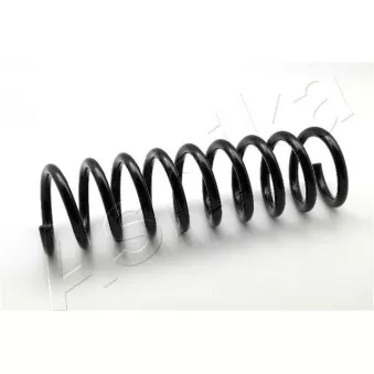 Ressort de suspension ASHIKA ZCA6116A