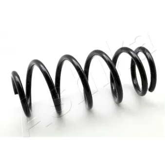 Ressort de suspension ASHIKA ZCA6134A
