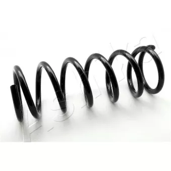 Ressort de suspension ASHIKA ZCA6136A