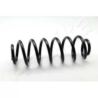 Ressort de suspension ASHIKA ZCA6164A