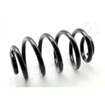 Ressort de suspension ASHIKA ZCA6223X