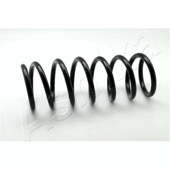 Ressort de suspension ASHIKA ZCA6273A