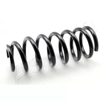 Ressort de suspension ASHIKA ZCA6298F