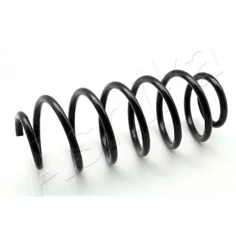 Ressort de suspension ASHIKA ZCA6406H