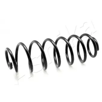 Ressort de suspension ASHIKA ZCA6409H