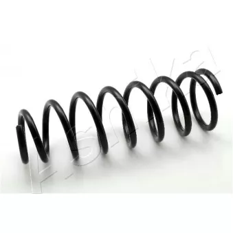 Ressort de suspension ASHIKA ZCA6546G