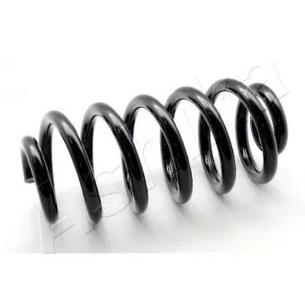 Ressort de suspension ASHIKA ZCA6747H