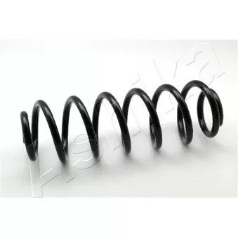 Ressort de suspension ASHIKA ZCA6787H