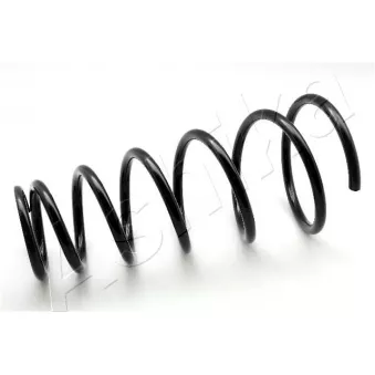 Ressort de suspension ASHIKA ZCA6798G