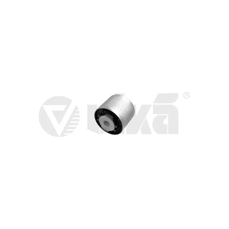 Suspension, Différentiel VIKA 55250000101