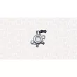 Pompe à haute pression MAGNETI MARELLI 805010000250 - Visuel 3
