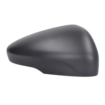 Revêtement, rétroviseur extérieur MAGNETI MARELLI 182201560200