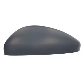 Boitier, rétroviseur extérieur MAGNETI MARELLI 182201564100