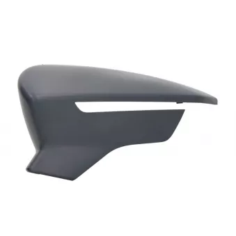 Boitier, rétroviseur extérieur MAGNETI MARELLI 182201569100