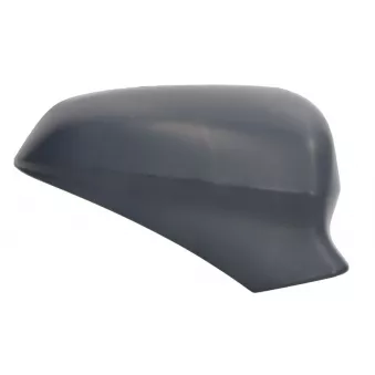 Boitier, rétroviseur extérieur MAGNETI MARELLI 182201569600