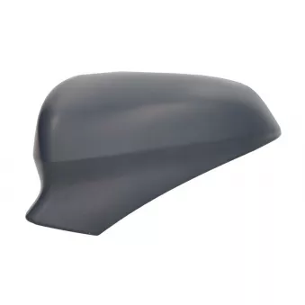 Boitier, rétroviseur extérieur MAGNETI MARELLI 182201569500