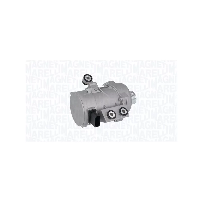 Pompe à eau MAGNETI MARELLI 350984136000