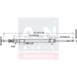 Bougie de préchauffage A-N PARTS A-N153003 - Visuel 2
