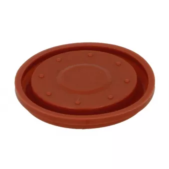 Membrane couvercle de culasse AKUSAN LCC M 02 029