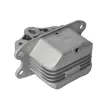 Suspension, boîte automatique AKUSAN ZPS-BM-044 - Visuel 1