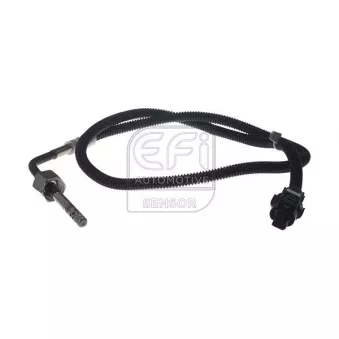 Capteur, température des gaz EFI AUTOMOTIVE 1473218