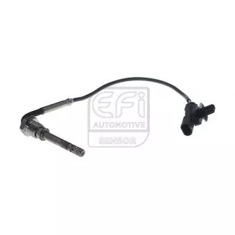 Capteur, température des gaz EFI AUTOMOTIVE