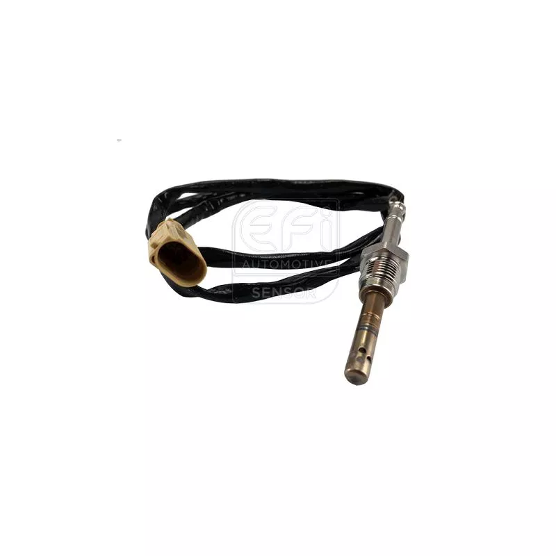 Capteur, température des gaz EFI AUTOMOTIVE 1473932