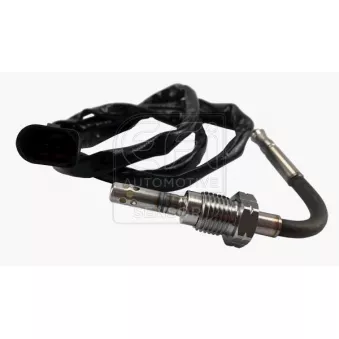 Capteur, température des gaz EFI AUTOMOTIVE 1473974