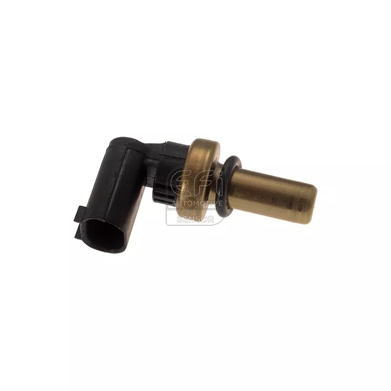 Sonde de température, liquide de refroidissement EFI AUTOMOTIVE 295210